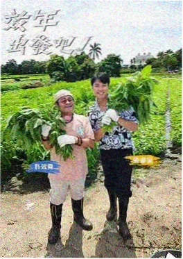三体主创圆桌派节目封面